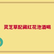 灵芝草配藏红花泡酒喝