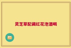 灵芝草配藏红花泡酒喝