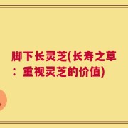 脚下长灵芝(长寿之草：重视灵芝的价值)