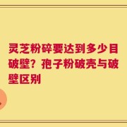 灵芝粉碎要达到多少目破壁？孢子粉破壳与破壁区别