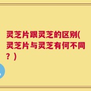 灵芝片跟灵芝的区别(灵芝片与灵芝有何不同？)
