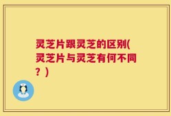 灵芝片跟灵芝的区别(灵芝片与灵芝有何不同？)