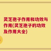 灵芝孢子作用和功效与作用(灵芝孢子的功效及作用大全)