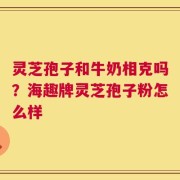 灵芝孢子和牛奶相克吗？海趣牌灵芝孢子粉怎么样
