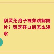 刮灵芝孢子视频讲解图片？灵芝开口后怎么浇水