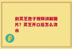 刮灵芝孢子视频讲解图片？灵芝开口后怎么浇水