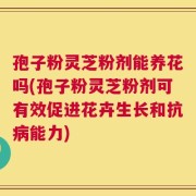孢子粉灵芝粉剂能养花吗(孢子粉灵芝粉剂可有效促进花卉生长和抗病能力)