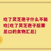 吃了灵芝孢子什么不能吃(吃了灵芝孢子后要忌口的食物汇总)