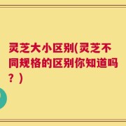 灵芝大小区别(灵芝不同规格的区别你知道吗？)
