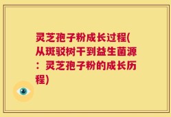 灵芝孢子粉成长过程(从斑驳树干到益生菌源：灵芝孢子粉的成长历程)