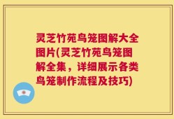 灵芝竹苑鸟笼图解大全图片(灵芝竹苑鸟笼图解全集，详细展示各类鸟笼制作流程及技巧)