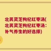 北芪灵芝枸杞红枣汤(北芪灵芝枸杞红枣汤：补气养生的好选择)