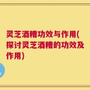 灵芝酒糟功效与作用(探讨灵芝酒糟的功效及作用)