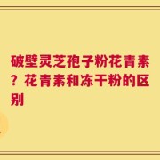 破壁灵芝孢子粉花青素？花青素和冻干粉的区别