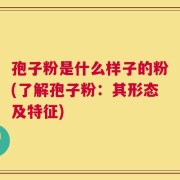 孢子粉是什么样子的粉(了解孢子粉：其形态及特征)