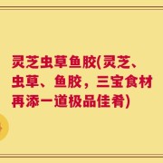 灵芝虫草鱼胶(灵芝、虫草、鱼胶，三宝食材再添一道极品佳肴)