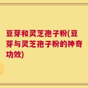豆芽和灵芝孢子粉(豆芽与灵芝孢子粉的神奇功效)