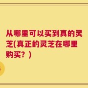 从哪里可以买到真的灵芝(真正的灵芝在哪里购买？)