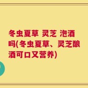 冬虫夏草 灵芝 泡酒吗(冬虫夏草、灵芝酿酒可口又营养)
