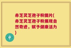 赤芝灵芝孢子粉图片(赤芝灵芝孢子粉展现自然奇迹，赋予健康活力)