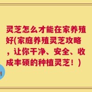 灵芝怎么才能在家养殖好(家庭养殖灵芝攻略，让你干净、安全、收成丰硕的种植灵芝！)