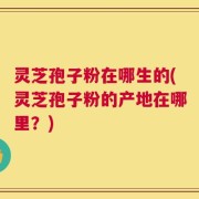 灵芝孢子粉在哪生的(灵芝孢子粉的产地在哪里？)