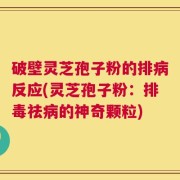 破壁灵芝孢子粉的排病反应(灵芝孢子粉：排毒祛病的神奇颗粒)