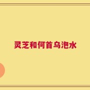 灵芝和何首乌泡水