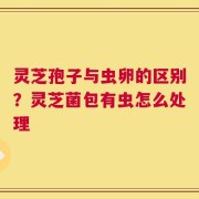 灵芝孢子与虫卵的区别？灵芝菌包有虫怎么处理