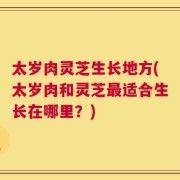 太岁肉灵芝生长地方(太岁肉和灵芝最适合生长在哪里？)