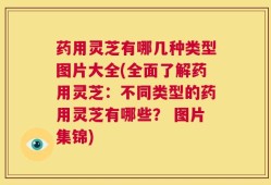 药用灵芝有哪几种类型图片大全(全面了解药用灵芝：不同类型的药用灵芝有哪些？ 图片集锦)