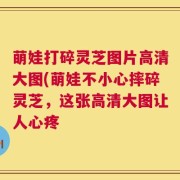 萌娃打碎灵芝图片高清大图(萌娃不小心摔碎灵芝，这张高清大图让人心疼