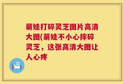 萌娃打碎灵芝图片高清大图(萌娃不小心摔碎灵芝，这张高清大图让人心疼