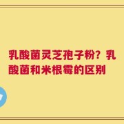 乳酸菌灵芝孢子粉？乳酸菌和米根霉的区别