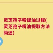 灵芝孢子粉提油过程(灵芝孢子粉油提取方法简述)