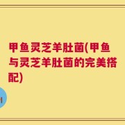 甲鱼灵芝羊肚菌(甲鱼与灵芝羊肚菌的完美搭配)