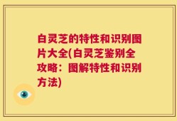白灵芝的特性和识别图片大全(白灵芝鉴别全攻略：图解特性和识别方法)