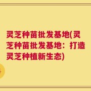 灵芝种苗批发基地(灵芝种苗批发基地：打造灵芝种植新生态)