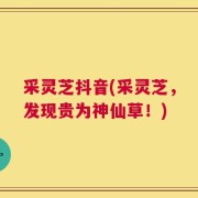 采灵芝抖音(采灵芝，发现贵为神仙草！)