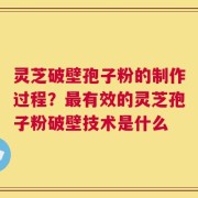 灵芝破壁孢子粉的制作过程？最有效的灵芝孢子粉破壁技术是什么