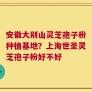 安徽大别山灵芝孢子粉种植基地？上海世圣灵芝孢子粉好不好