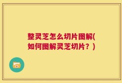 整灵芝怎么切片图解(如何图解灵芝切片？)