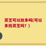 灵芝可以放多吗(可以多放灵芝吗？)