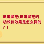 田港灵芝(田港灵芝的功效和效果是怎么样的？)