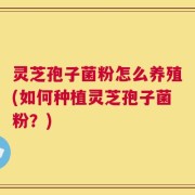 灵芝孢子菌粉怎么养殖(如何种植灵芝孢子菌粉？)