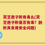灵芝孢子粉有毒么(灵芝孢子粉是否有毒？剖析其食用安全问题)
