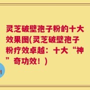 灵芝破壁孢子粉的十大效果图(灵芝破壁孢子粉疗效卓越：十大“神”奇功效！)