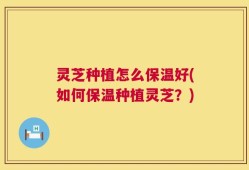 灵芝种植怎么保温好(如何保温种植灵芝？)