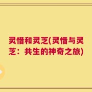 灵惜和灵芝(灵惜与灵芝：共生的神奇之旅)