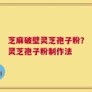 芝麻破壁灵芝孢子粉？灵芝孢子粉制作法